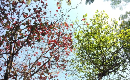 Change Management als Treiber der Transformation (Teil 3)